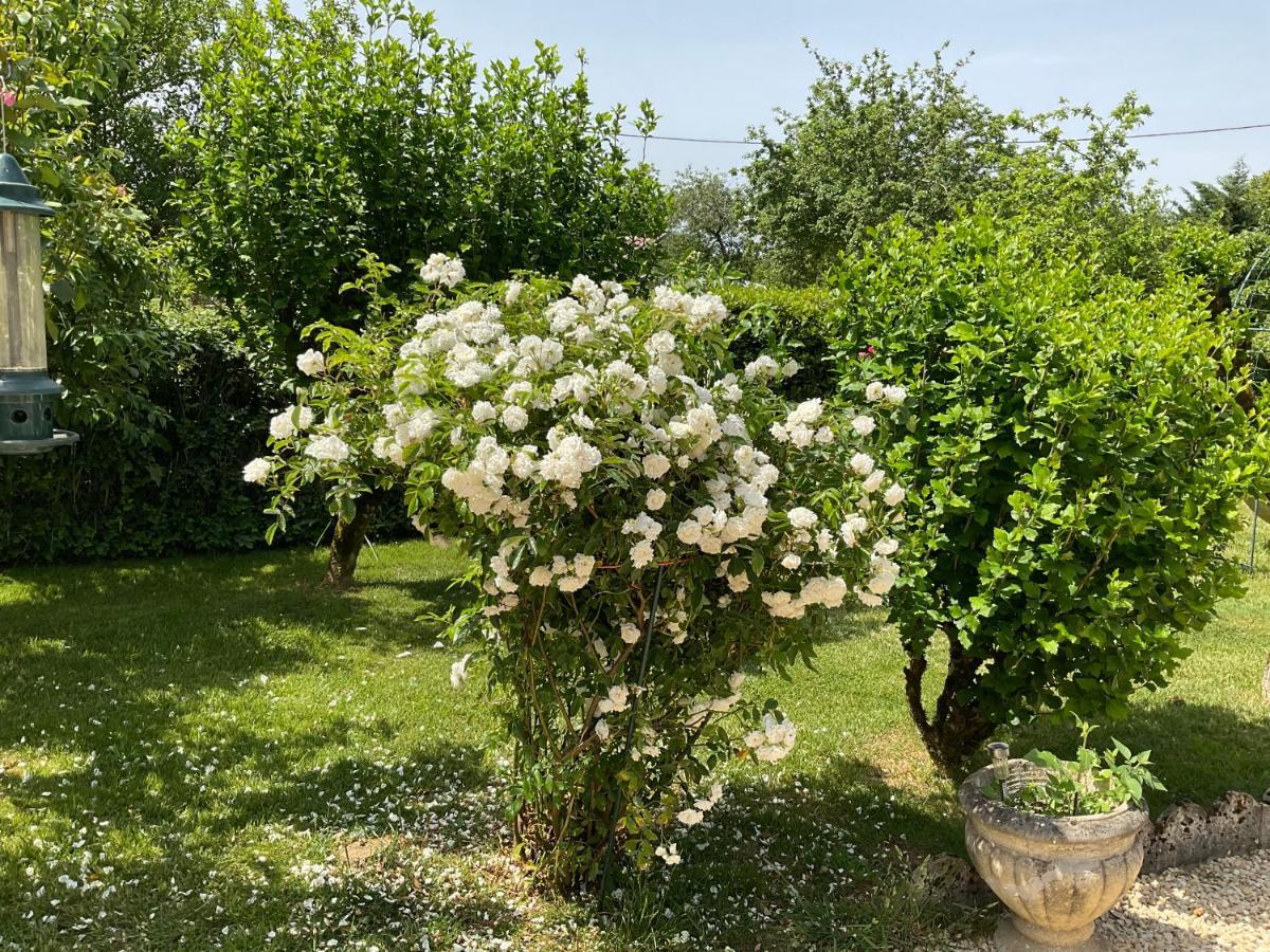 Le Jardin De Rose 24 Feuillebert Romagne 86700 Acomodação com café da manhã Exterior foto